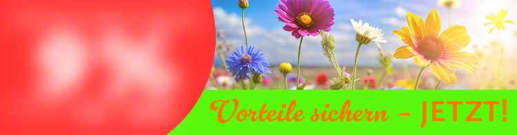 Vorteile sichern – Jetzt Rabatte nutzen. 