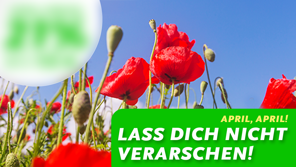 Sparen mit SPANNMAXXL – kein Aprilscherz